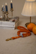 Load image into Gallery viewer, The Orange