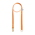 Load image into Gallery viewer, The Orange